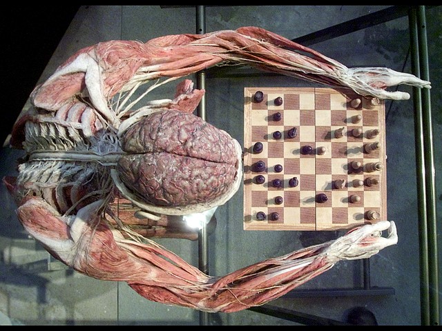 2368295.jpg