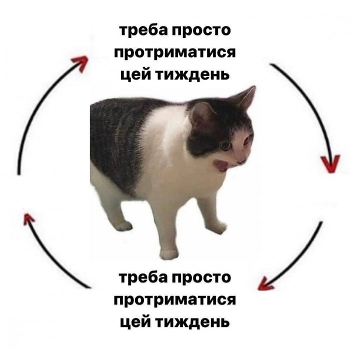 HO2zGxSXsAA7NKV.jpeg