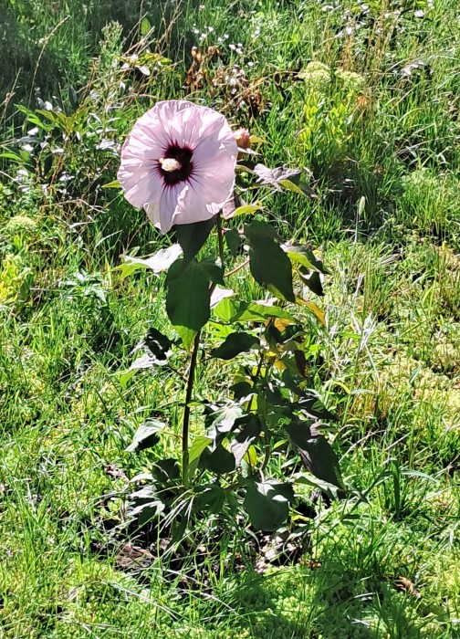 20260809_094928.jpg