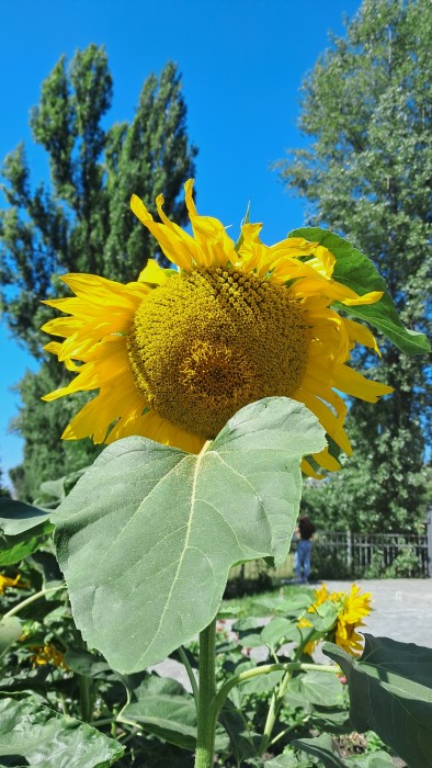 20260802_102241.jpg