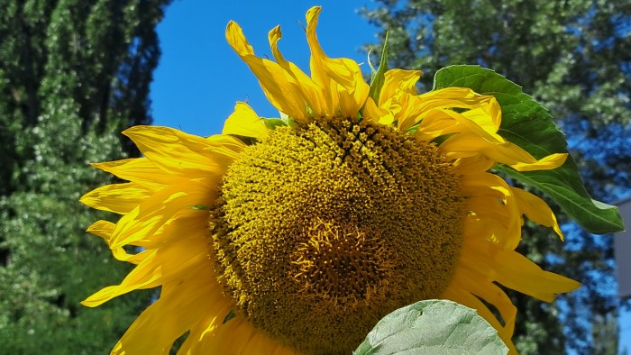 20260802_102252.jpg