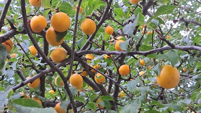 20260908_174517.jpg