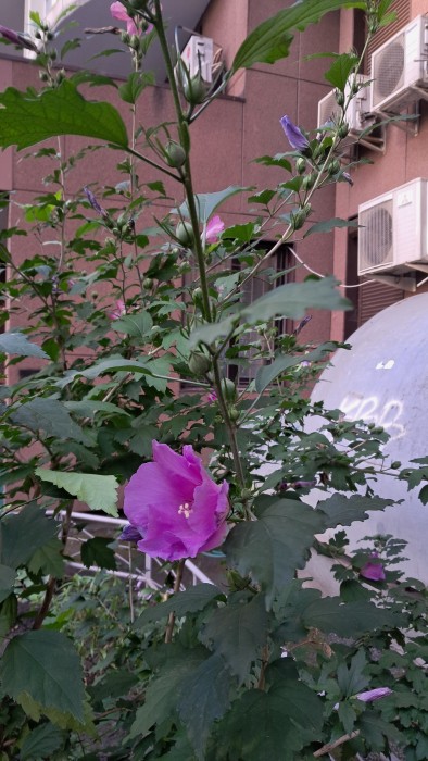 20260907_173649.jpg
