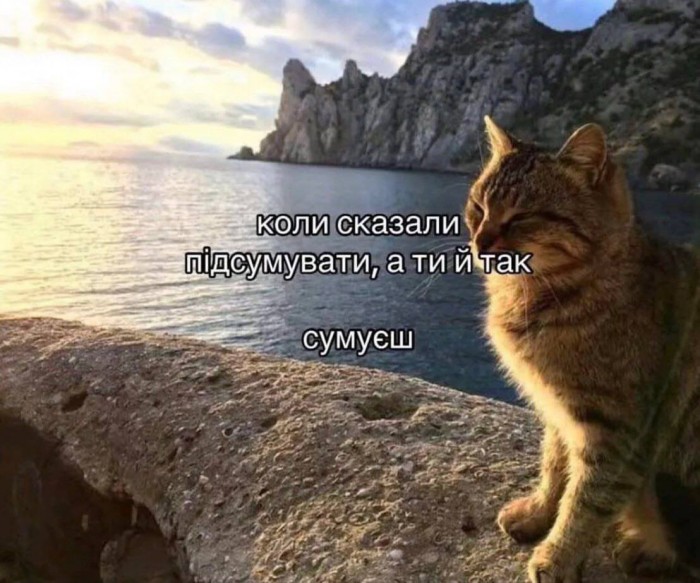 HSFq9sPbkAAq_Aw.jpeg