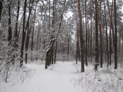 пропан горіння 018.jpg