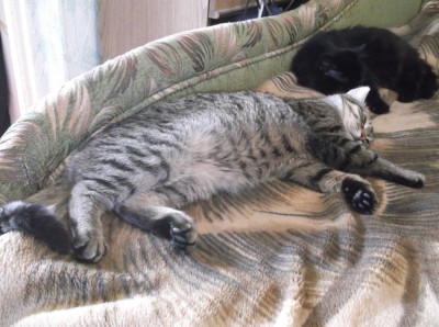 DSCF2292.JPG