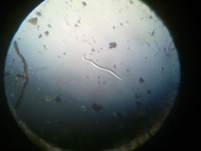 10052012063.jpg