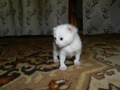 DSCN2521.jpg