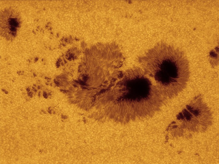 AR1520_071112friedman.jpg