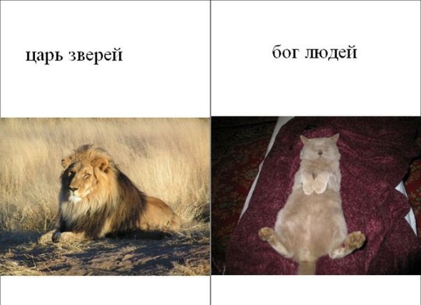 4DV-_lVro4c.jpg
