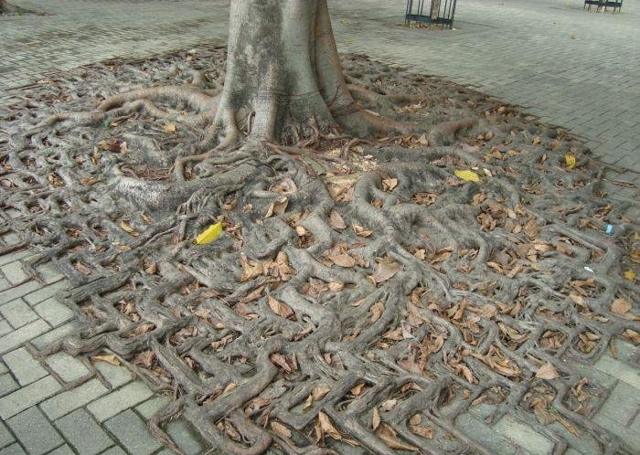fotoprikoly306.jpg
