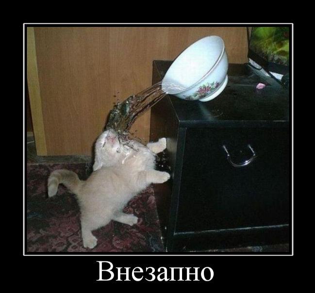 demotivator31.jpg
