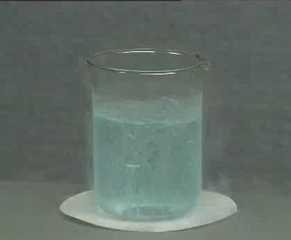 568.JPG