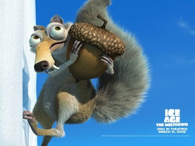 squirrel-8.jpg