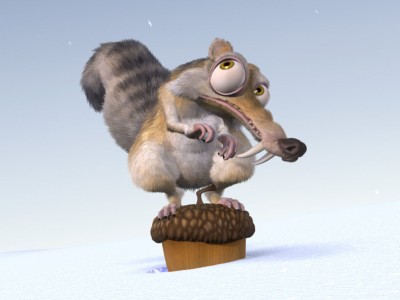 squirrel-2320.jpg