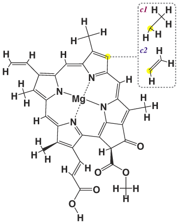 Chlorophyll_c.png