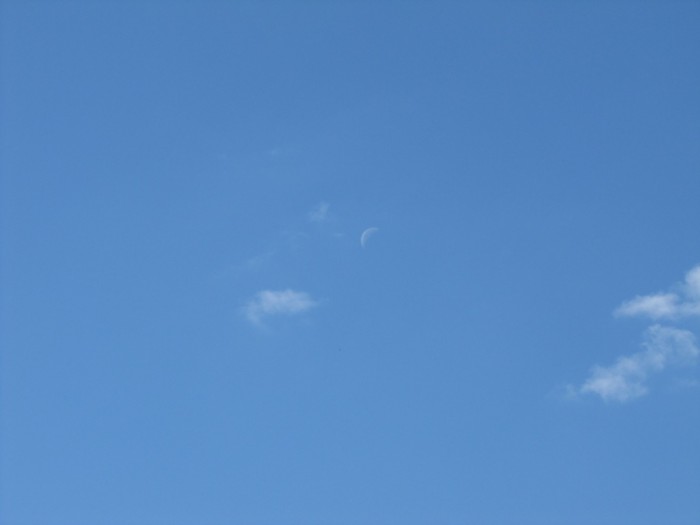 вересень 2012 005.jpg