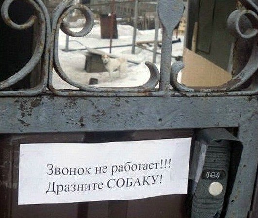 Rf5vwWh861E.jpg