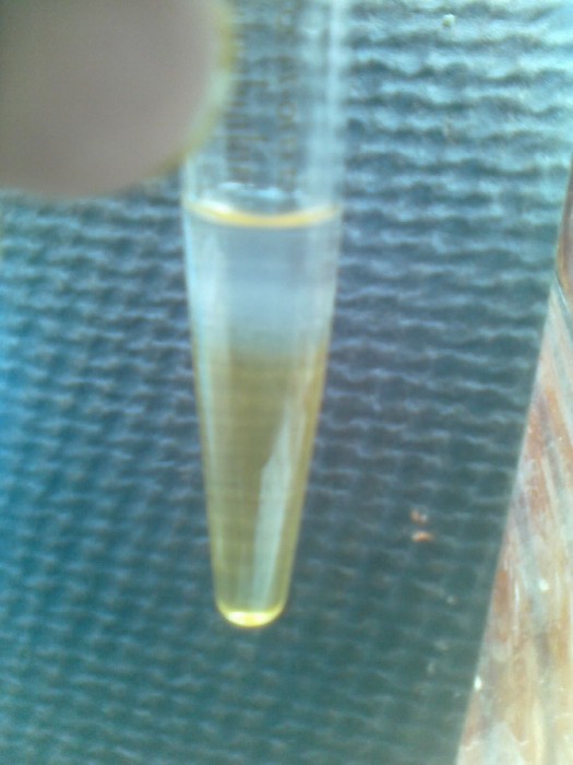 24092012212.jpg