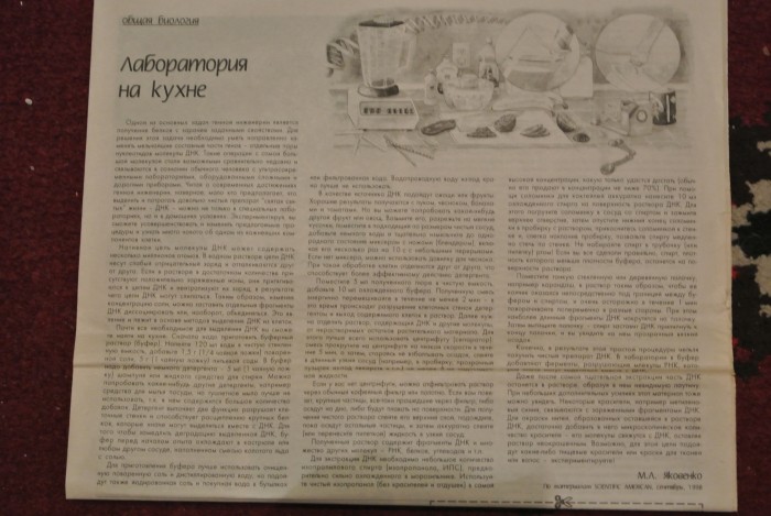DSC_2465.JPG