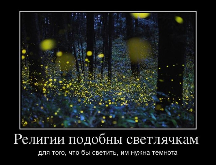 48877116_religii-podobnyi-svetlyachkam-.jpg