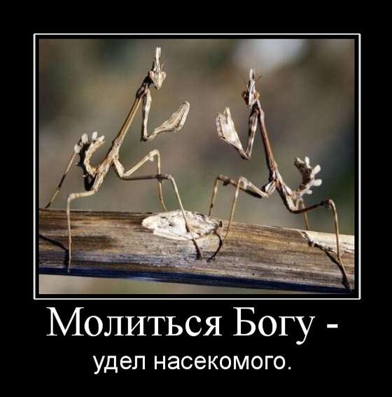 467062_molitsya-bogu-.jpg