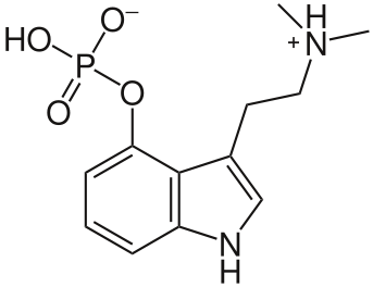 Psilocybn.png
