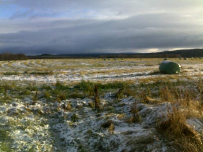 20102012050.jpg