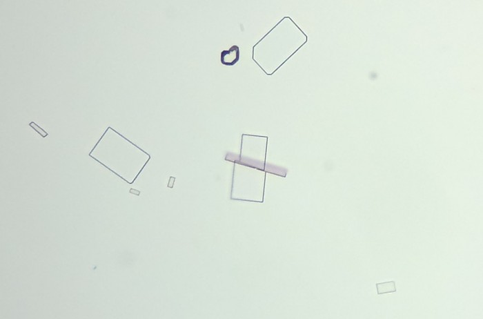 2012-11-27-197_2.jpg
