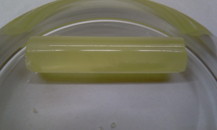 IMAG0454.jpg