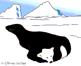 optical-illusions-seal-bear.gif