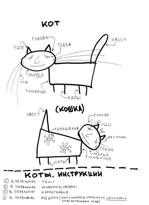 1255522708_cat_002.jpg