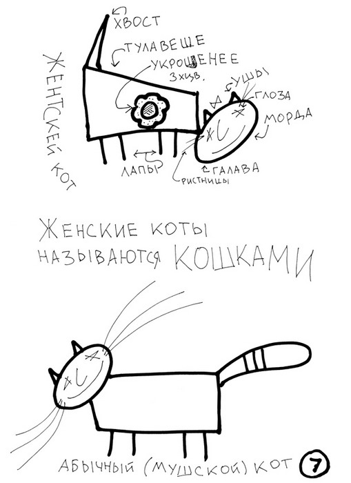 1255522794_cat_008.jpg