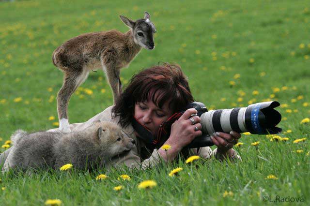 Wildlife photography.jpg
