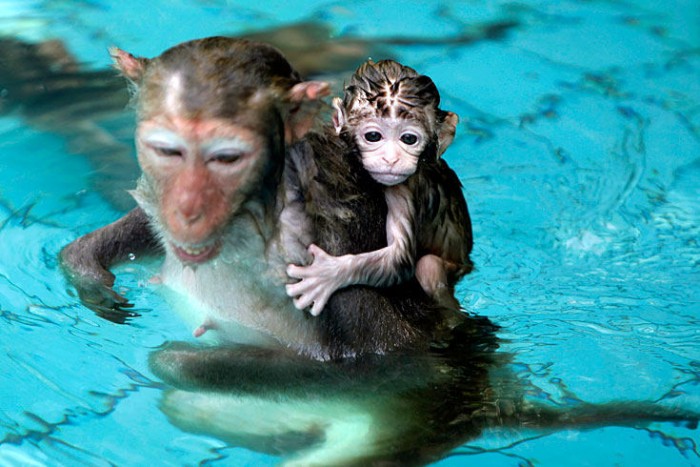 2010_kw_26_21.jpg