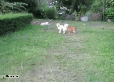 323139651b47d2b542757818bf279359.gif