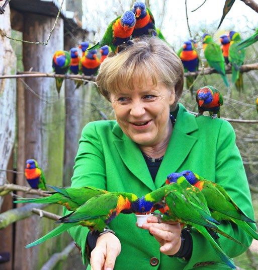 angela-merkel-bird_2197407k.jpg