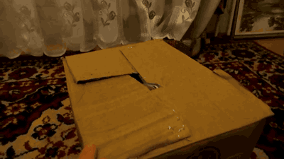 file.gif