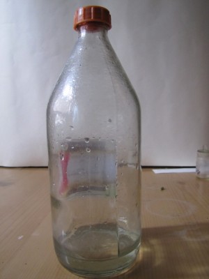 fiower11 007.jpg