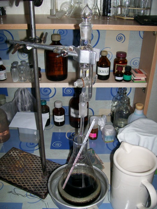 100_2025.JPG