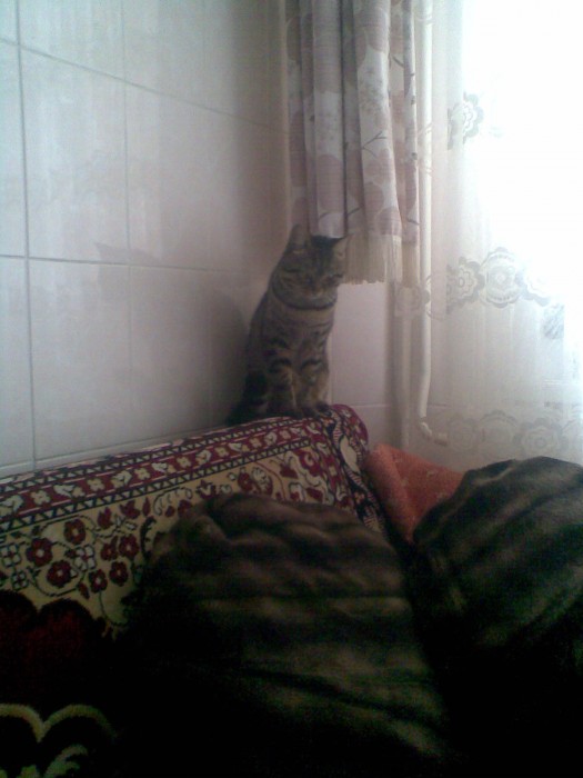 30032013.jpg