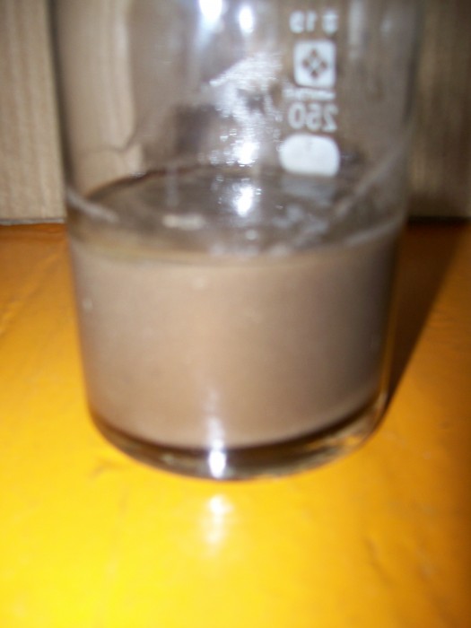 100_2046.JPG