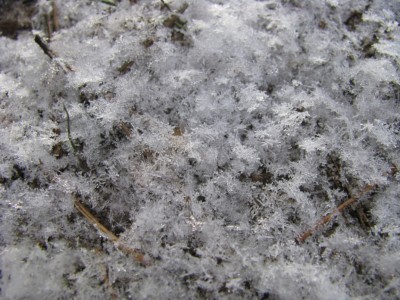 snow-13.JPG