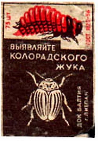 matches_11.jpg