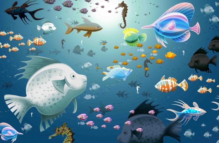 fish.jpg