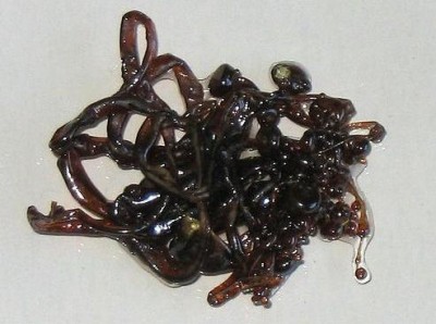 sulfur_plastic-1.jpg