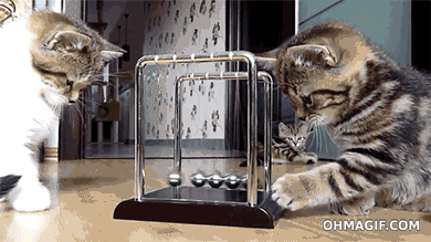 n509806ef64aa9_large.gif