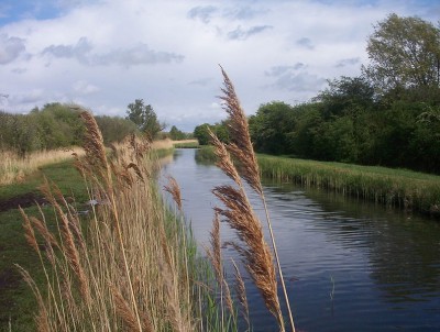 Wicken_Lode.JPG