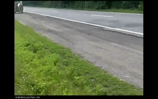 лошадь-гифки-москвич-278893.gif