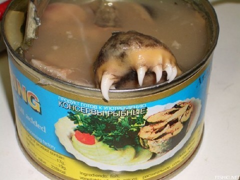 picture-42301.jpeg